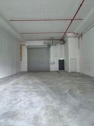 Ct Foodnex (D25), Factory #475286621